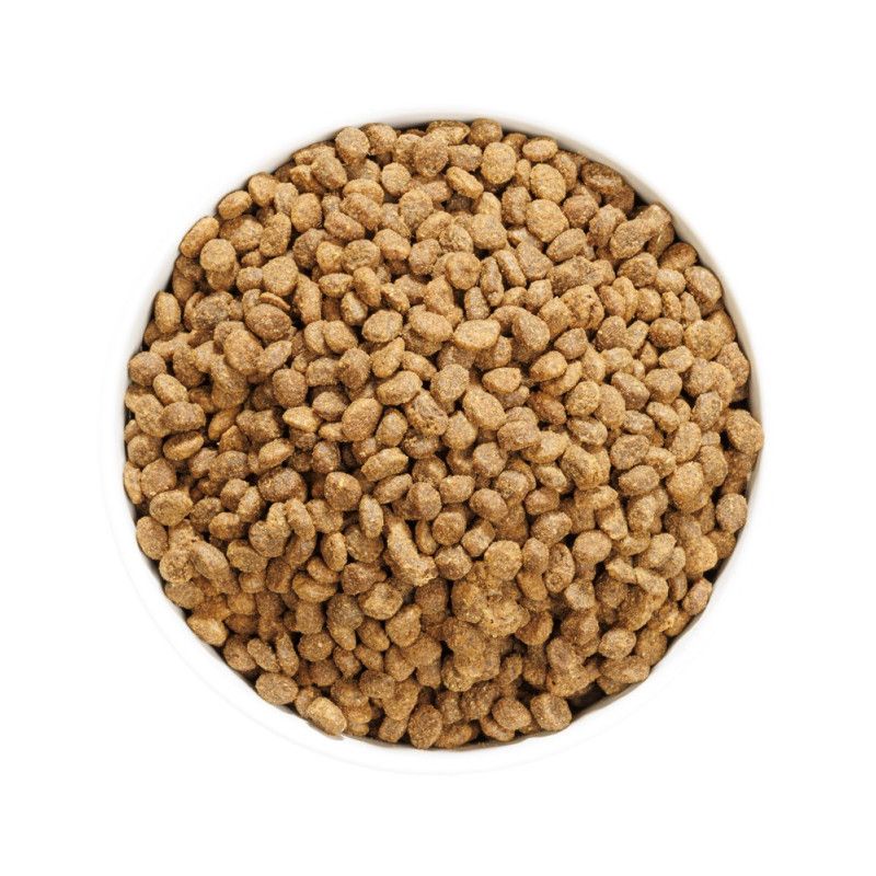 Ownat Author (Katt) fersk Oily fisk og Kylling 3 kg