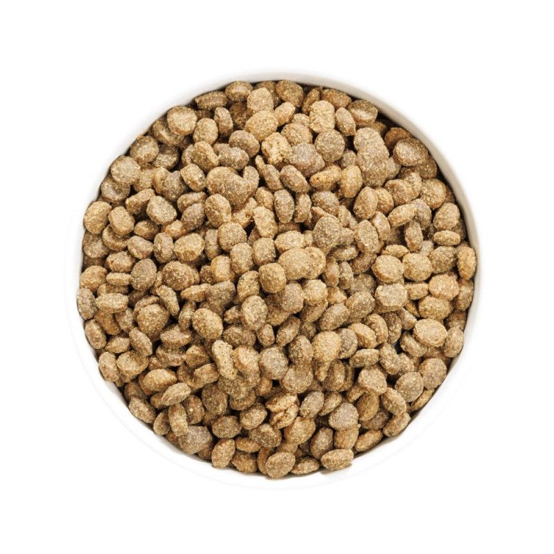 Ownat Author fersk Lam & Gris 10 kg